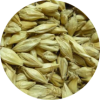 Mai Ya (Sheng)